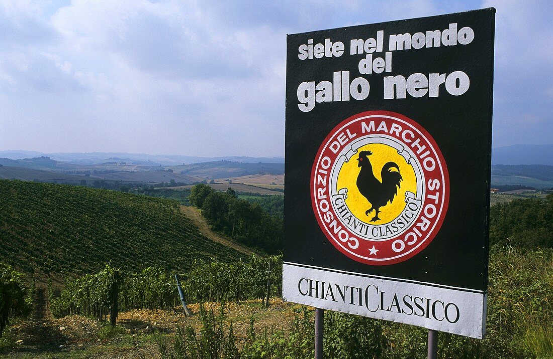 Gallo Nero, the logo of Chianti Classico, Italy