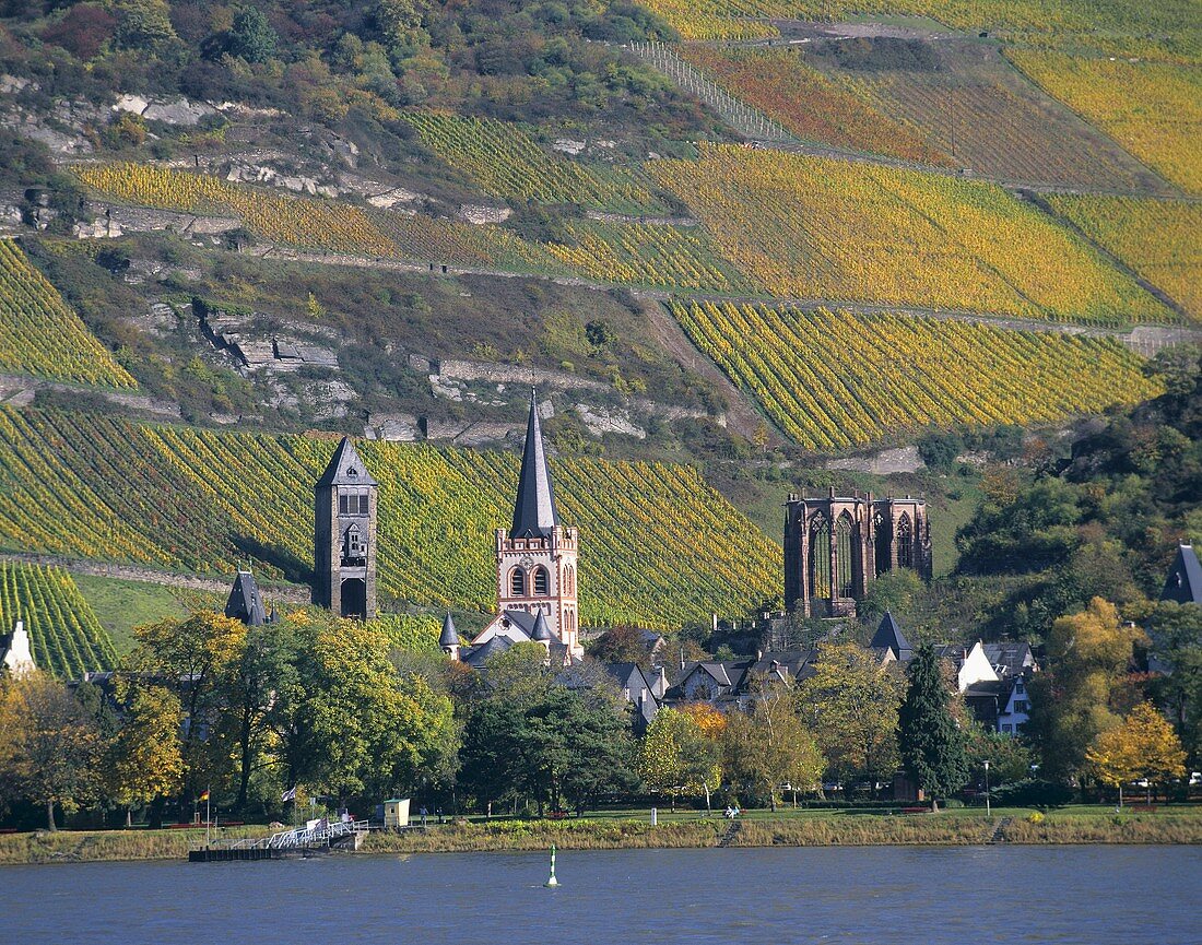 Blick auf die Weinstadt Bacharach, Mittelrhein, Deutschland