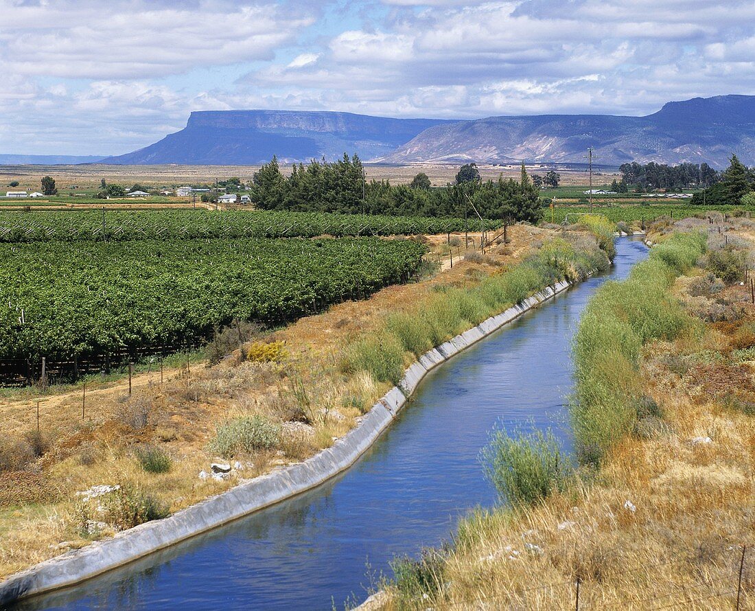 Olifants River - Fluss und Weinregion in Südafrika
