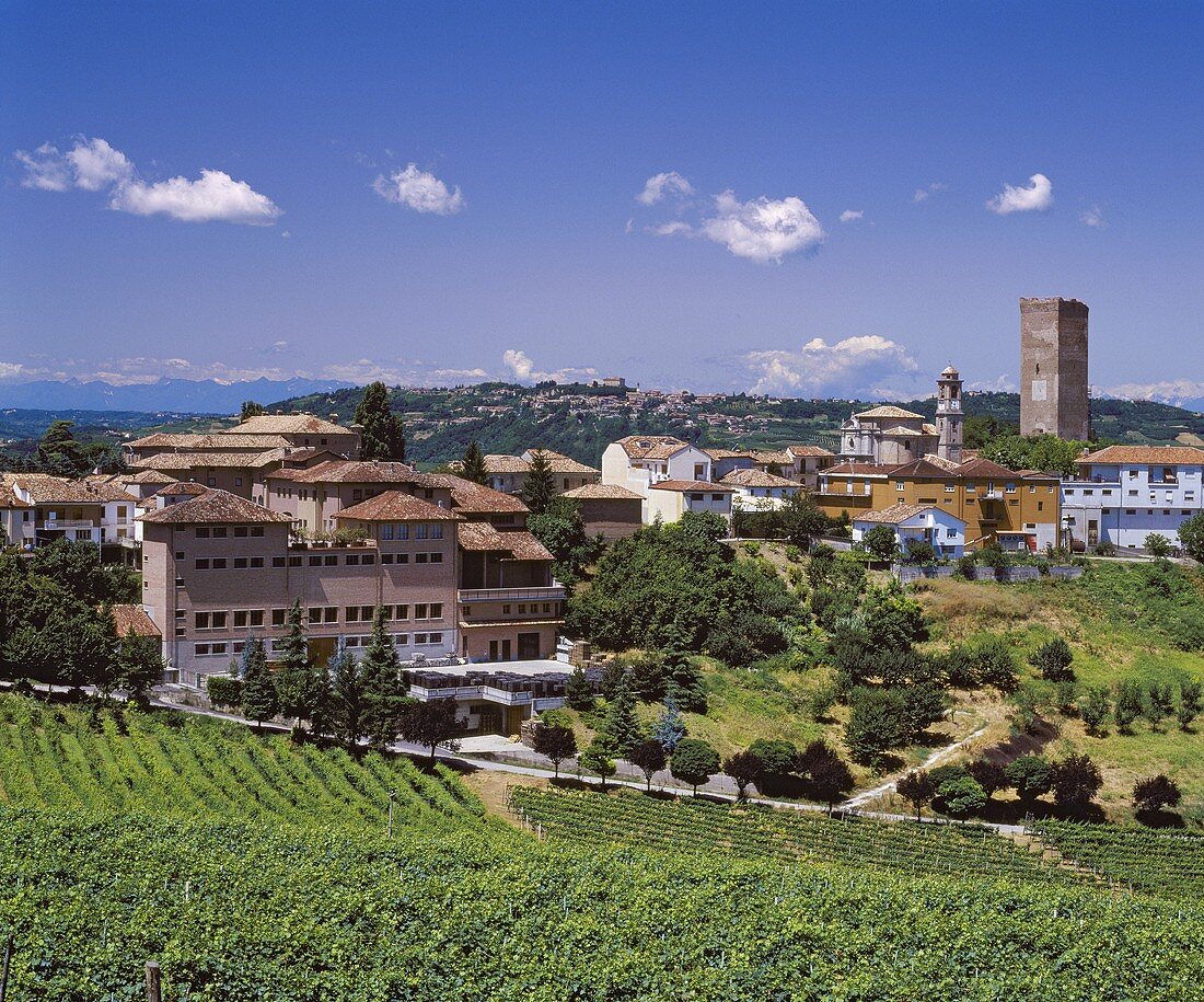 Weingut Angelo Gaja zur Linken, Barbaresco, Piemont, Italien