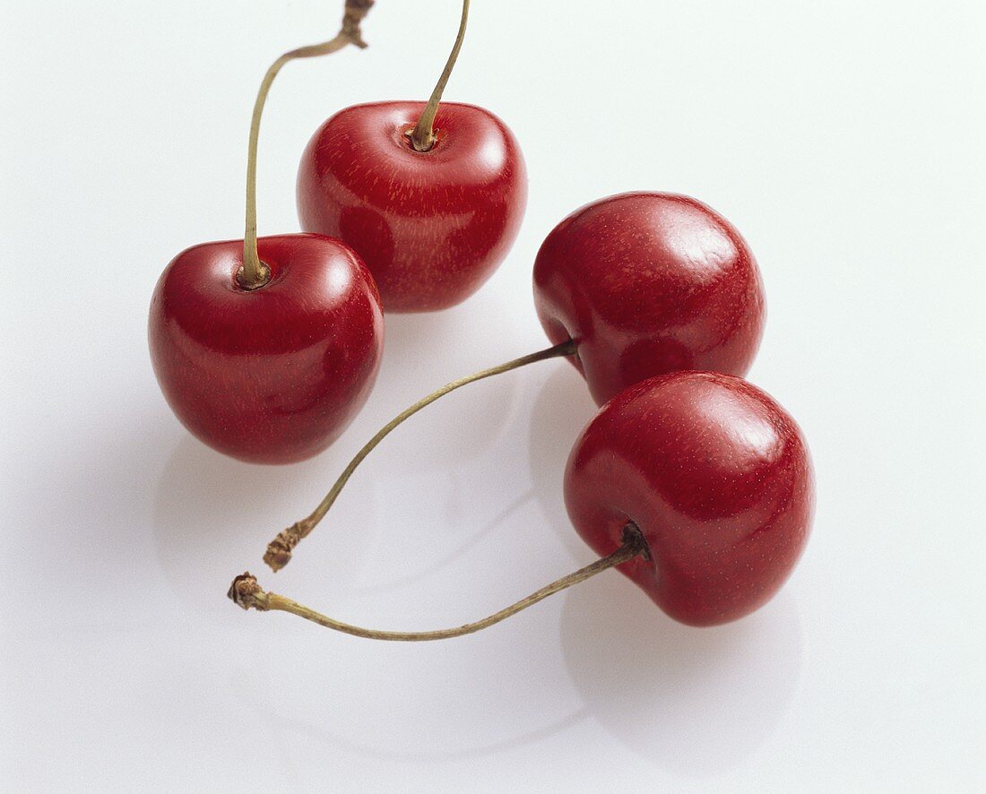 Sweet cherries (Prunus avium), variety ‘Büttners rote Knorpel’