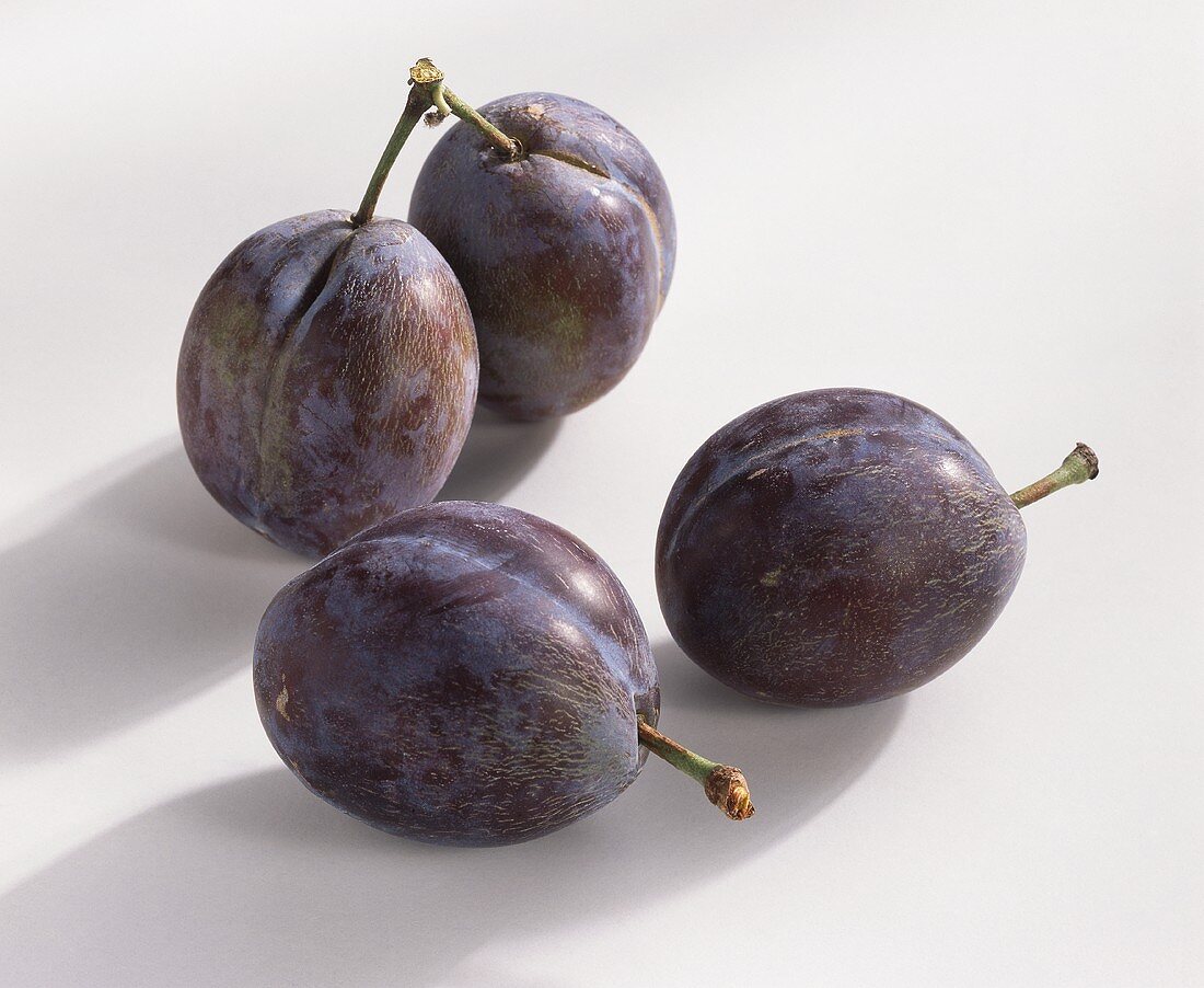 Four plums (Prunus domestica), variety ‘Elena’