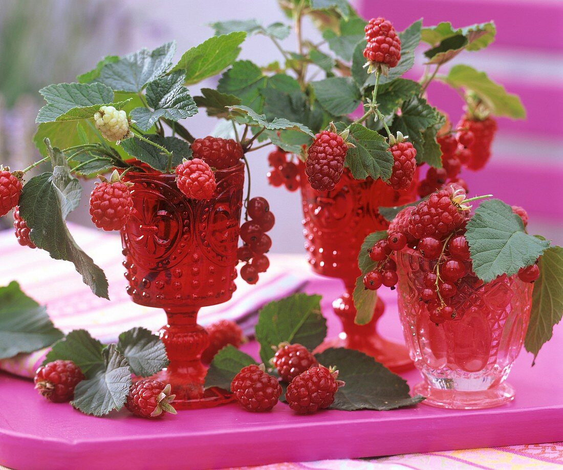 Himbeeren und rote Johannisbeeren als kleine Sträusschen