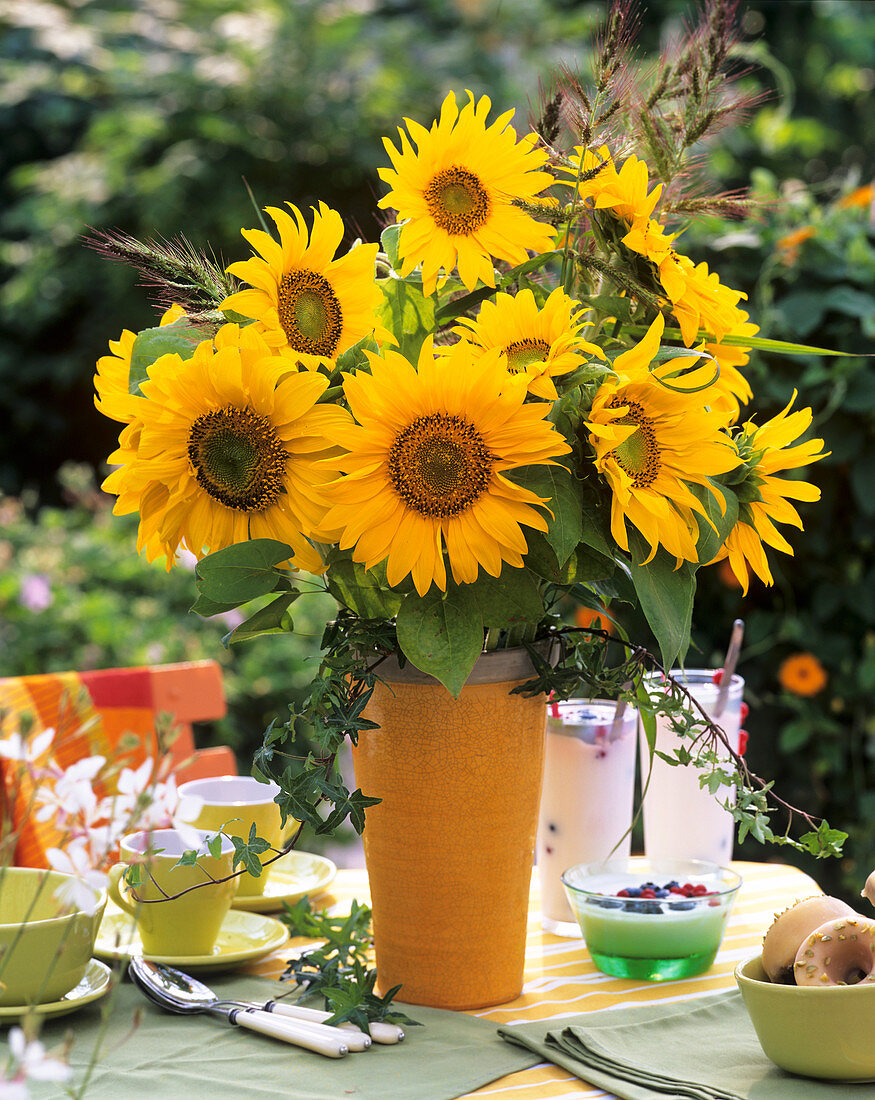 Sonnenblumen, Hühnerhirse und Efeu