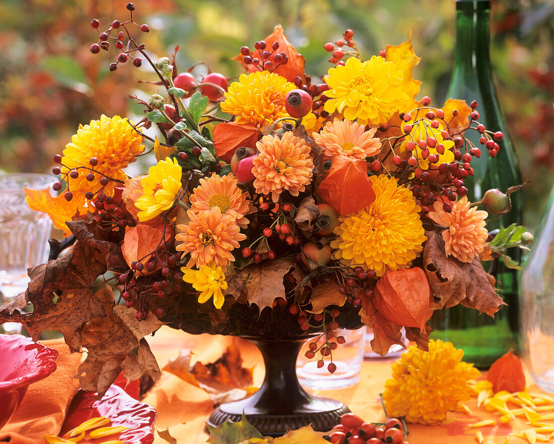 Dahlie, Chrysantheme, Physalis, Hagebutte und Ahornlaub