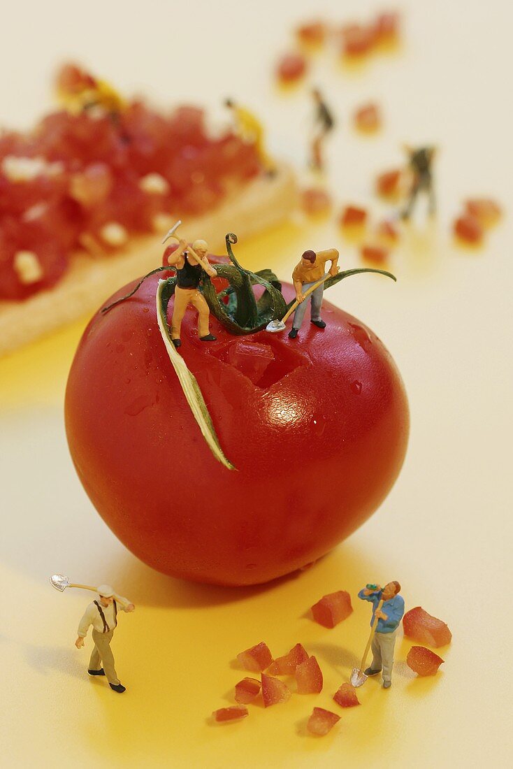 Miniature workers digging up the surface of a tomato