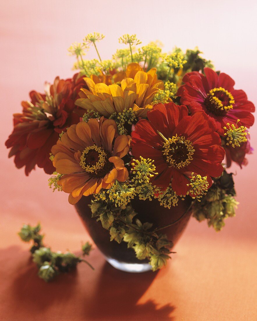 Arrangement of zinnias, dill and hops