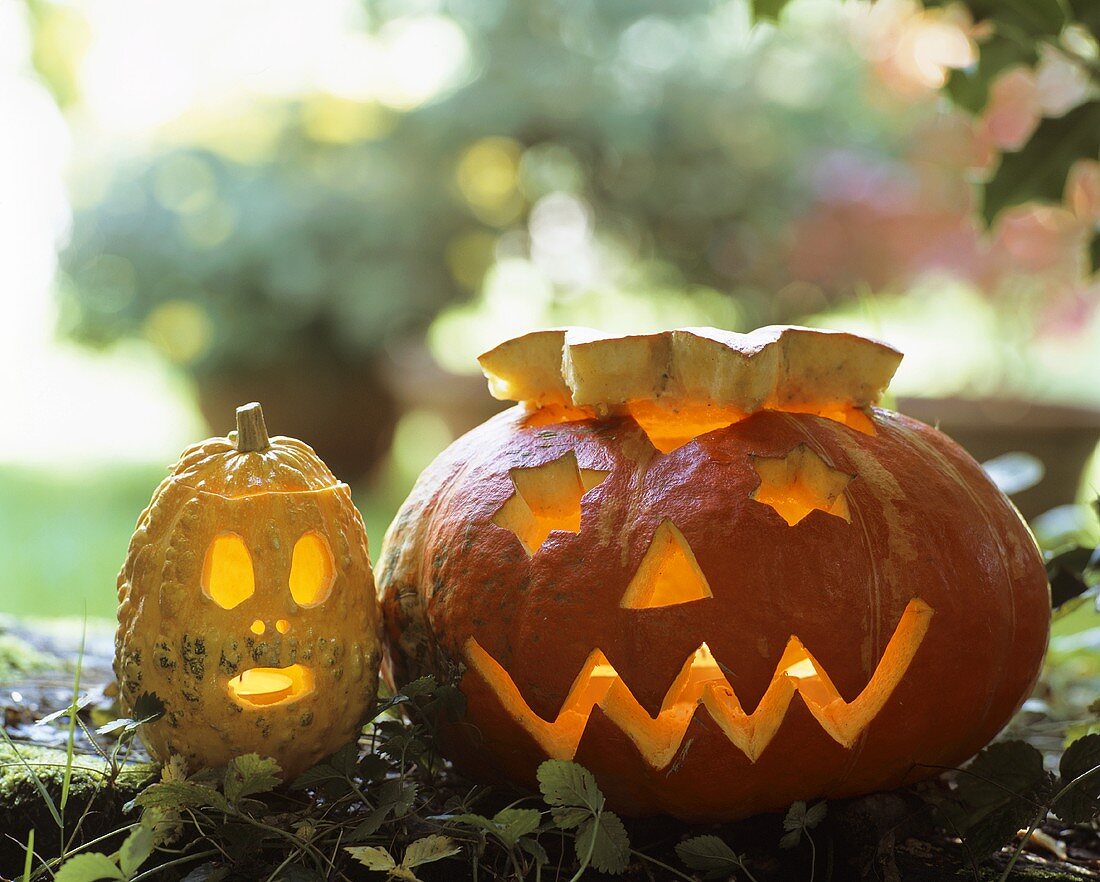 A pair of Halloween pumpkins