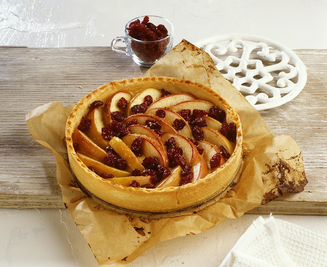 Apfelkuchen mit Cranberries