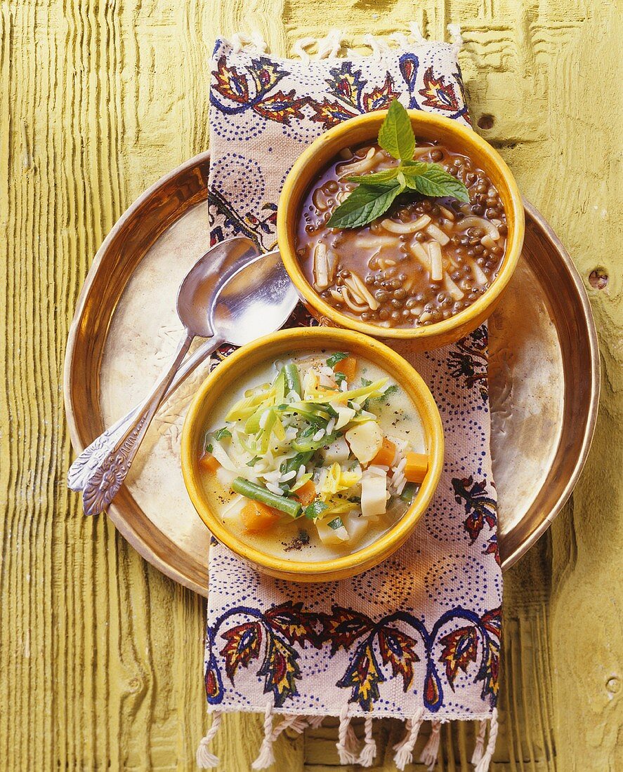 Lentil soup with noodles & vegetable soup with Patna rice (Turkey)