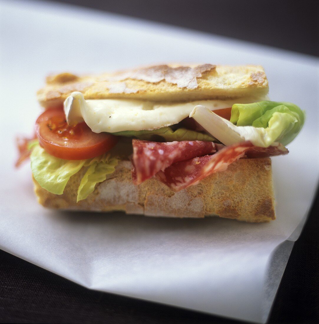 Salami, Camembert, tomato and lettuce in a sandwich