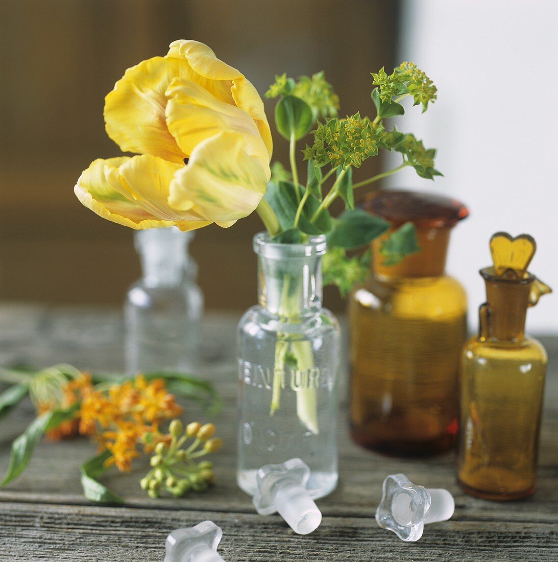 A yellow tulip in a small glass bottle