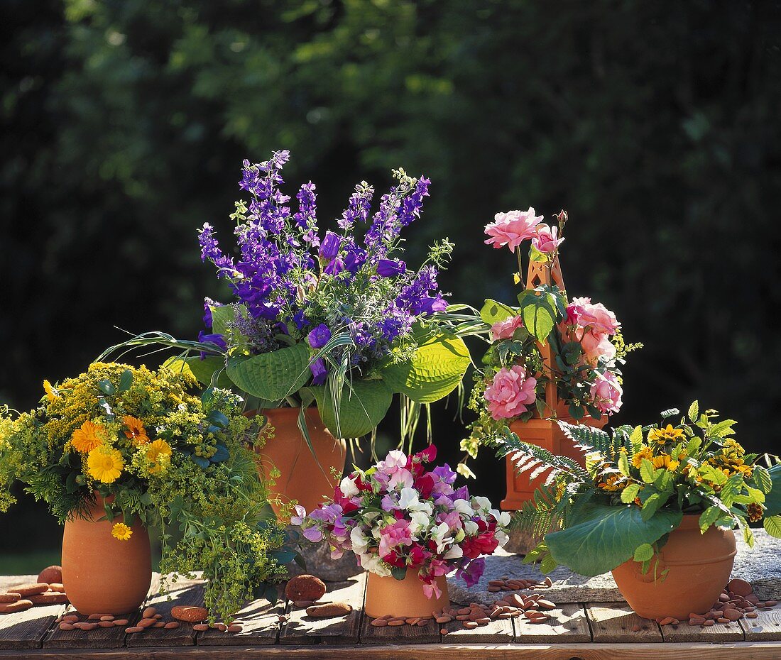 Viele Vasen mit bunten Sommersträussen: Glockenblumen, Rosen
