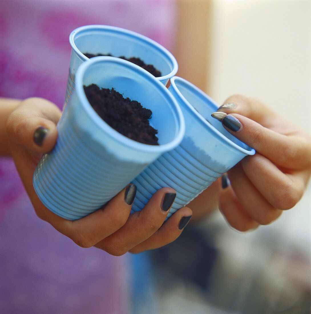 Hands holding three plastic pots with compost and seeds