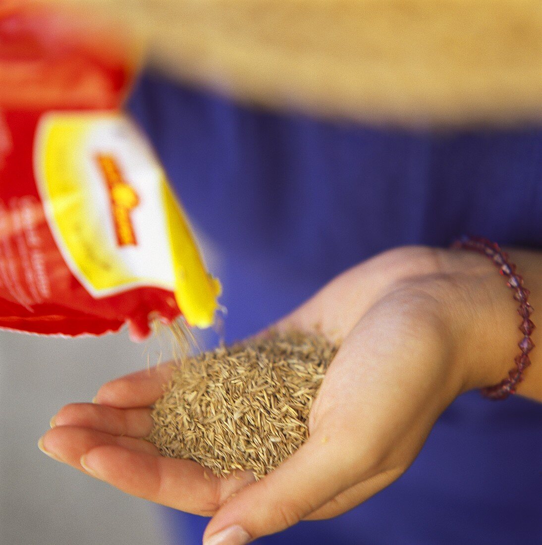 Lawn seed being poured into a hand
