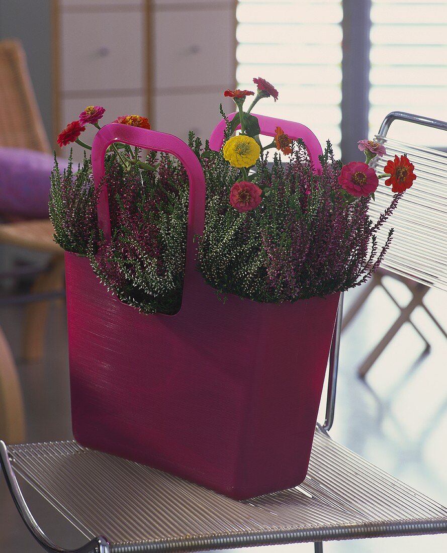 Bag with Callunas and zinnias