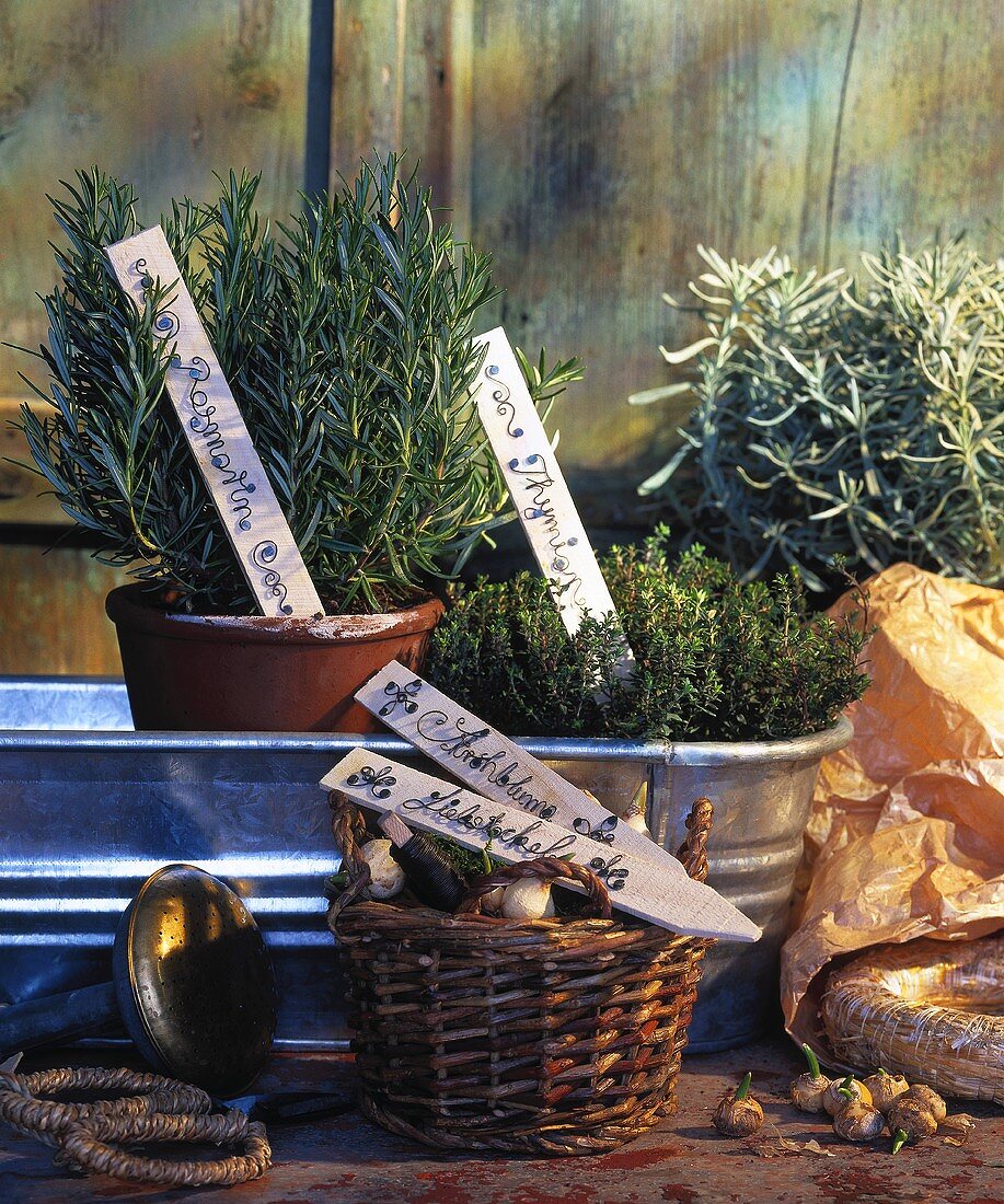 Herb pots with plant labels