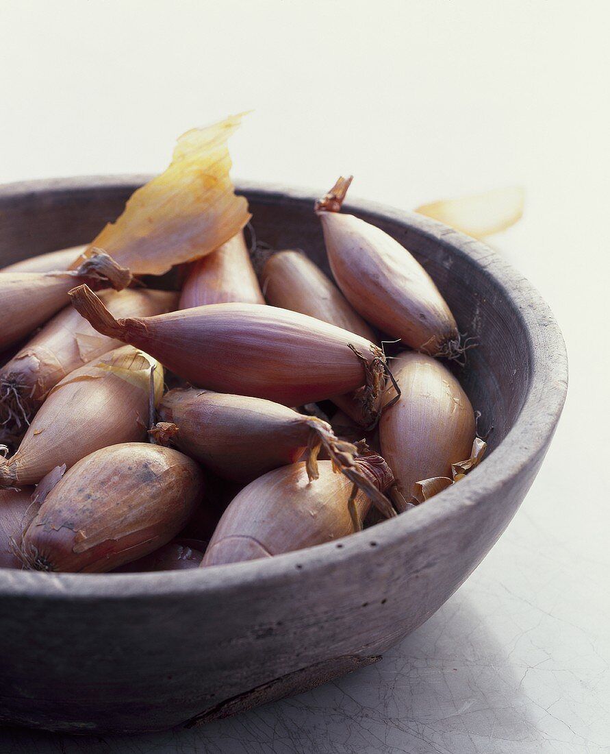 Shallots (Allium ascalonicum)