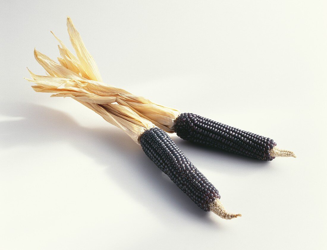 Small, dried, black corncobs from Italy