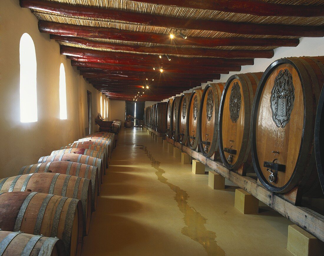 L'Ormarins Winery, founded 1694, Franschhoek, S. Africa