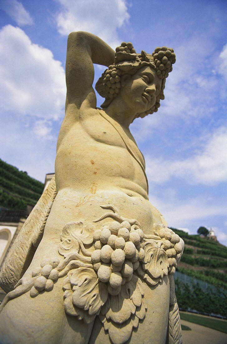 Statue, Schloss Wackerbarth, wine region in northern Saxony