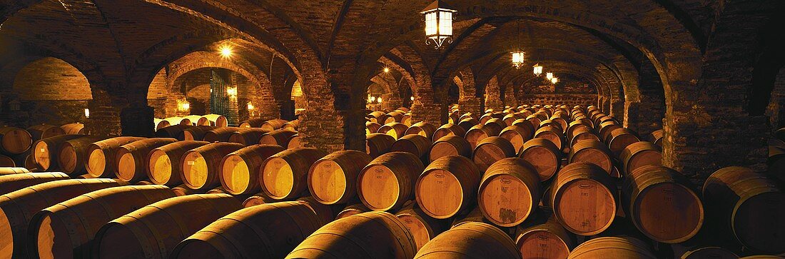 Weinkeller des Gutes Santa Rita, Valle del Maipo, Chile