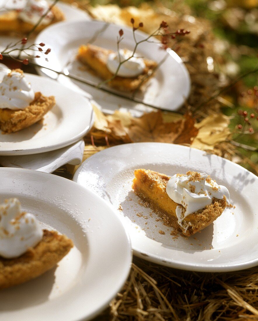 Pieces of pumpkin pie with whipped cream at autumn buffet