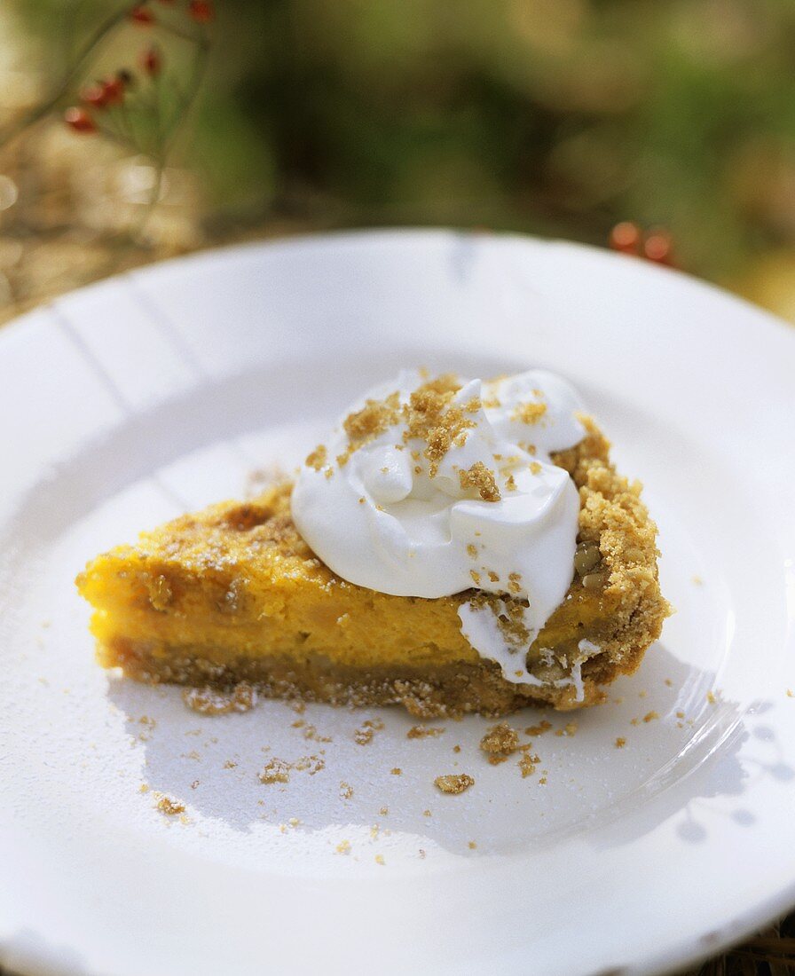 A piece of pumpkin pie with whipped cream on white plate
