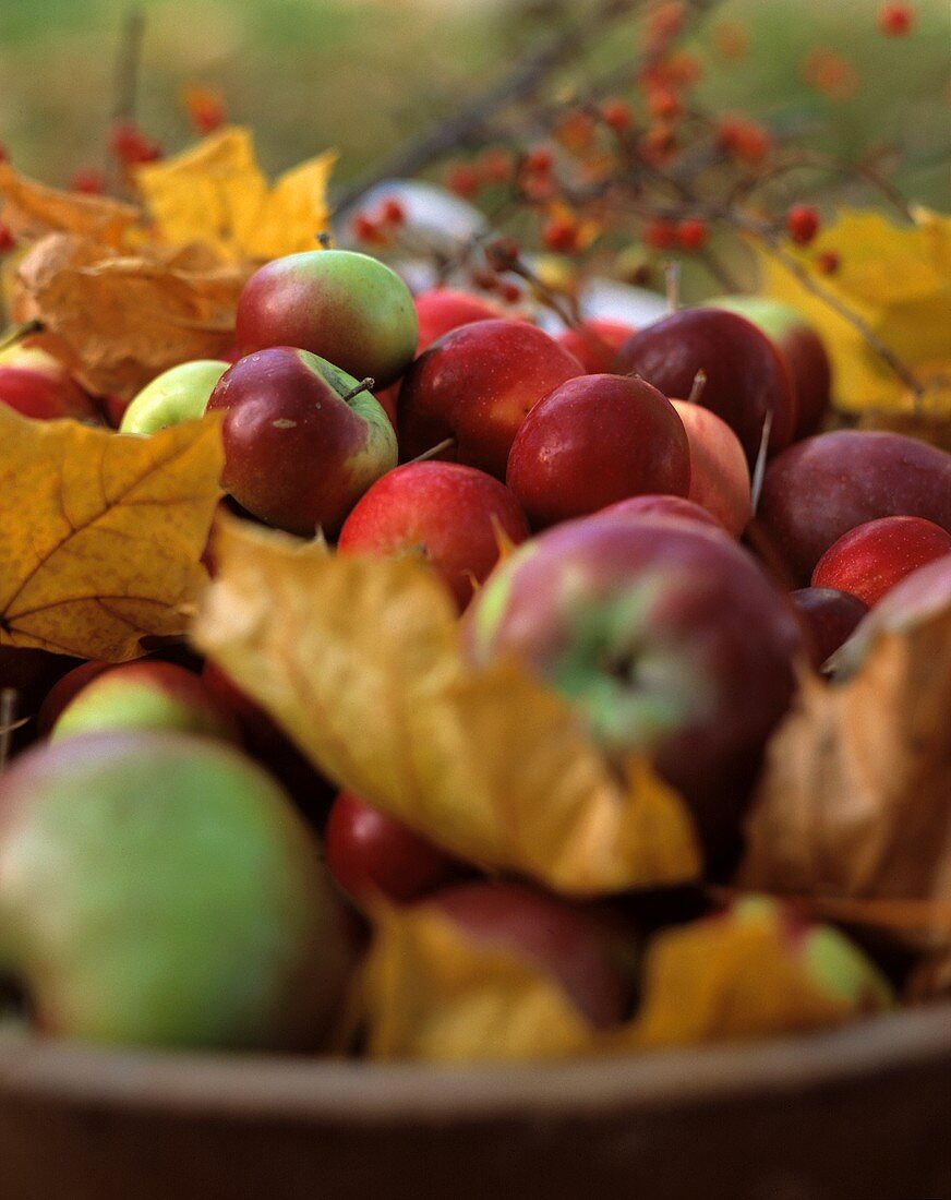 Rote & grüne Äpfel mit Herbstlaub in Holzschale auf Stroh