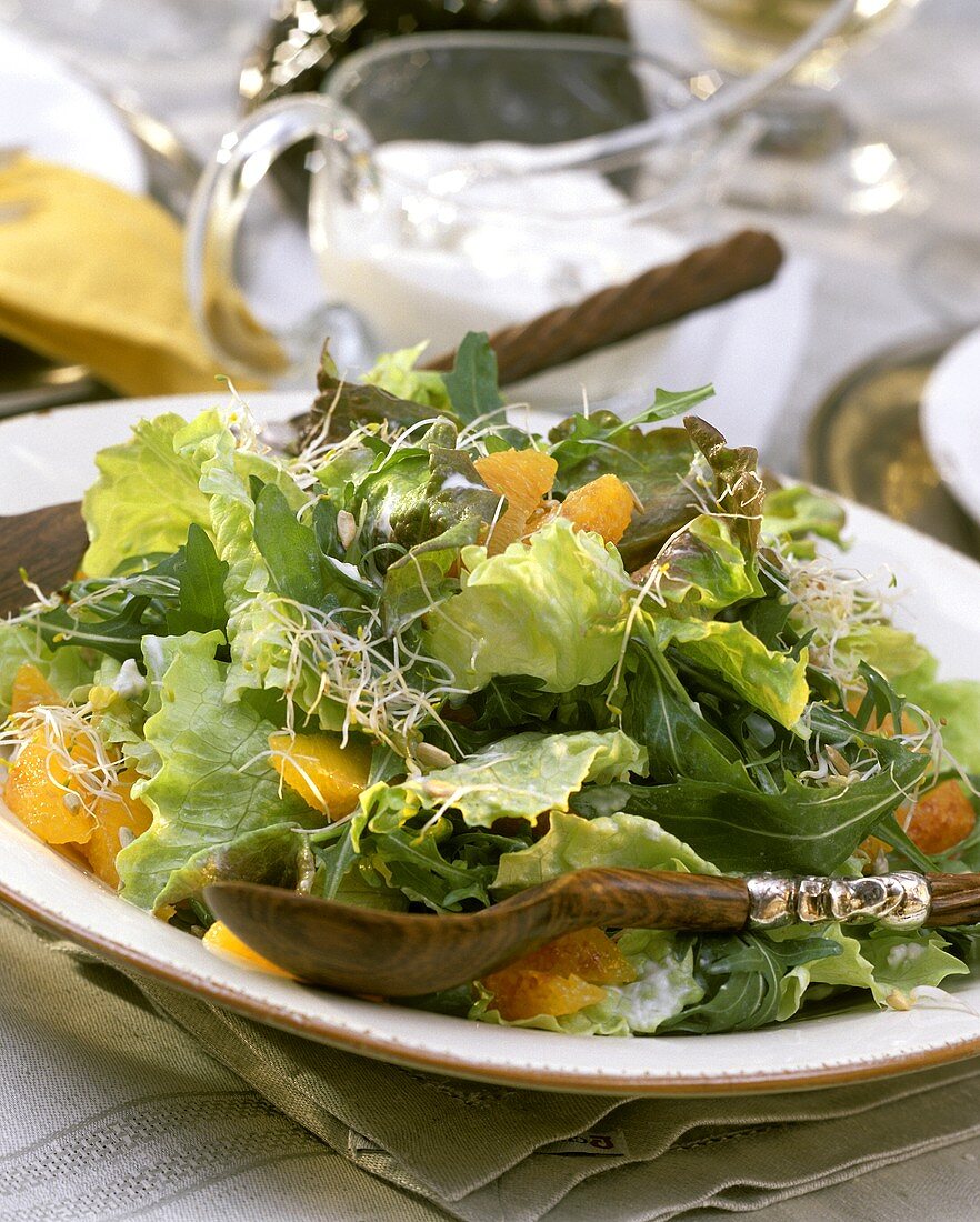 Batavia & rocket salad with oranges & sprouts