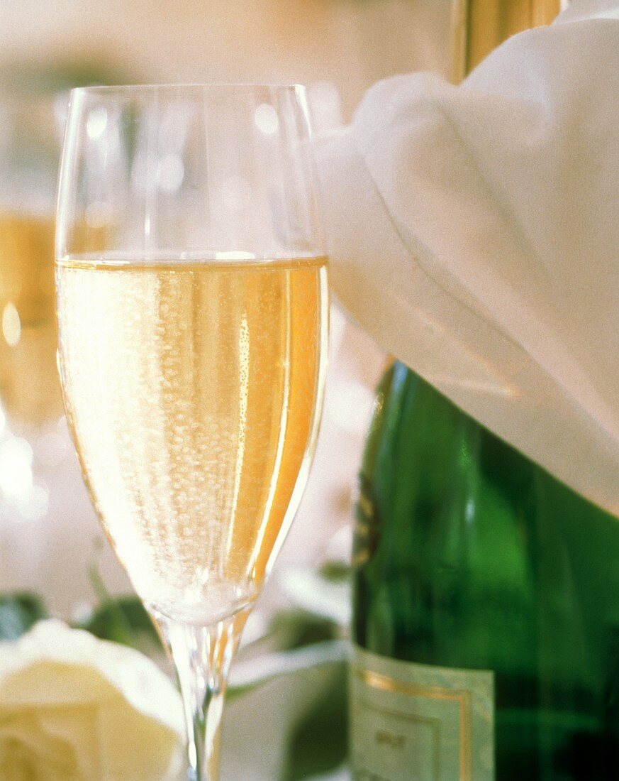 A Glass of Champagne with Bottle and White Napkin