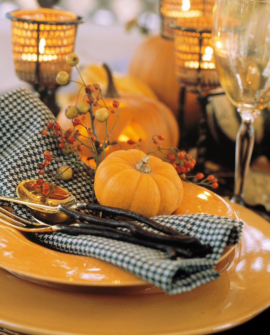 Single Place Setting for the Thanksgiving Table