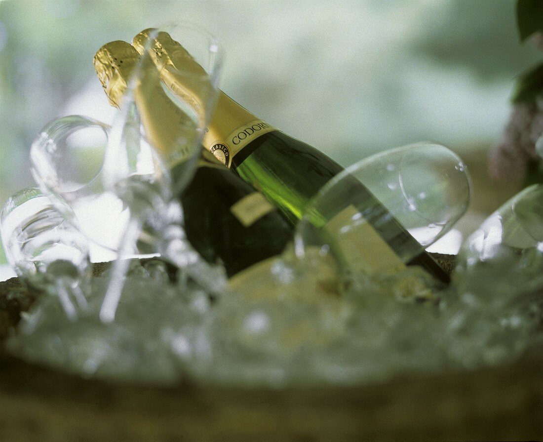Champagne Glasses and Bottles on Ice