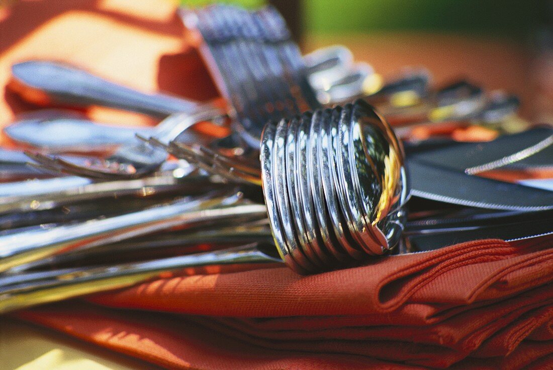 Assorted Silverware for Outdoor Party