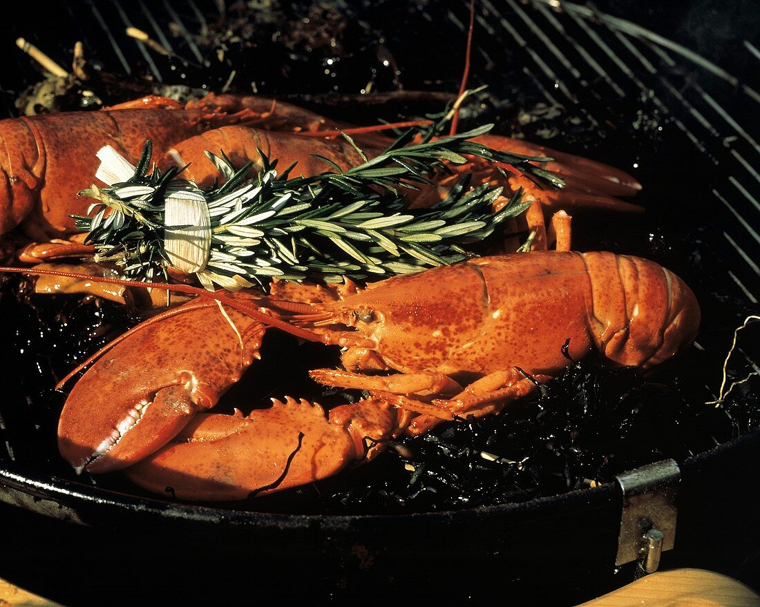 Lobster on the Grill with Herbs