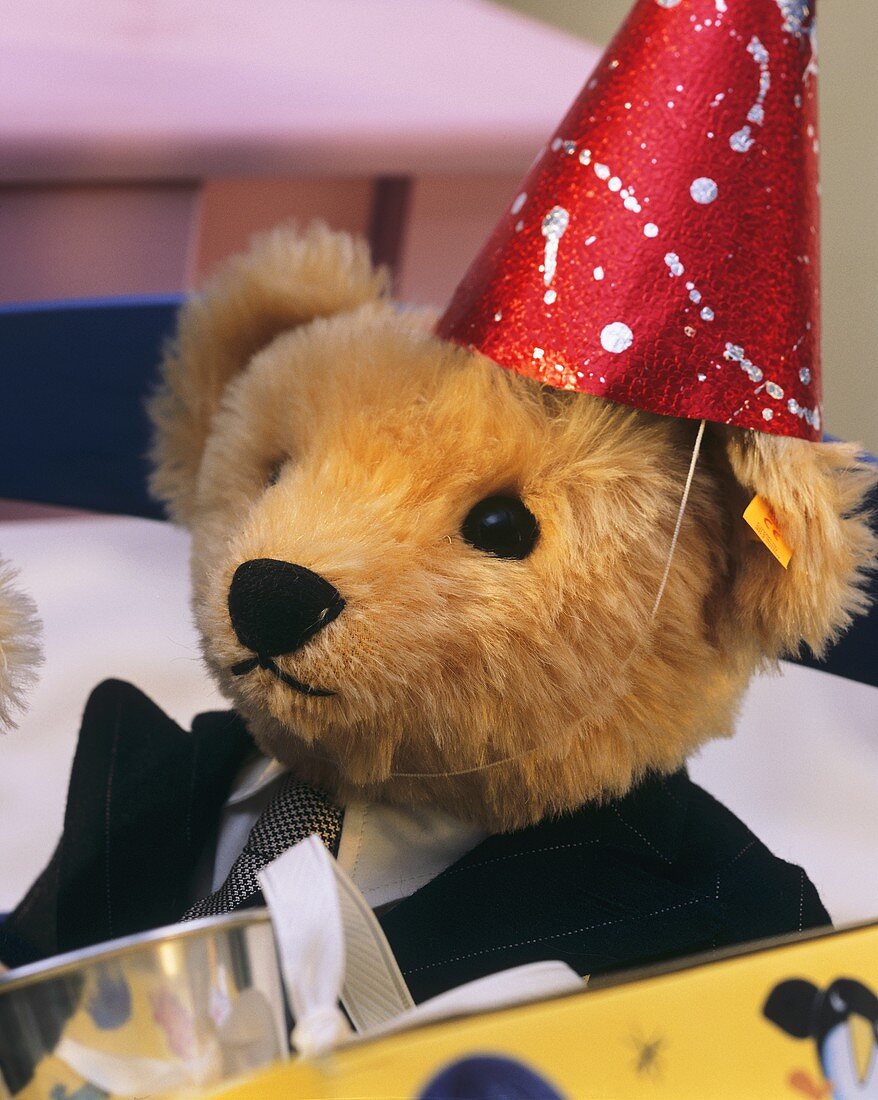 Teddy bear with hat