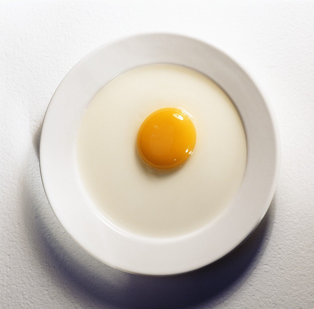 Raw Egg on a Plate; Overhead