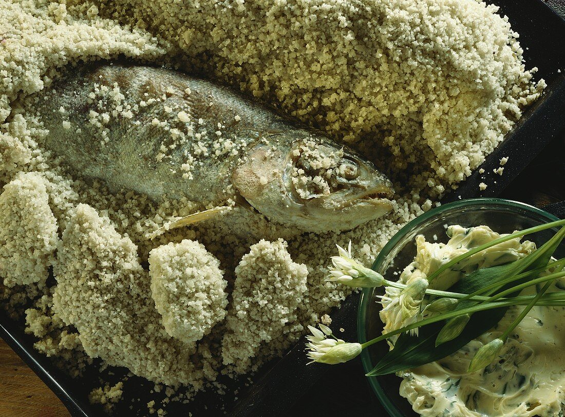 Lachsforelle in der Meersalzkruste mit Bärlauchbutter