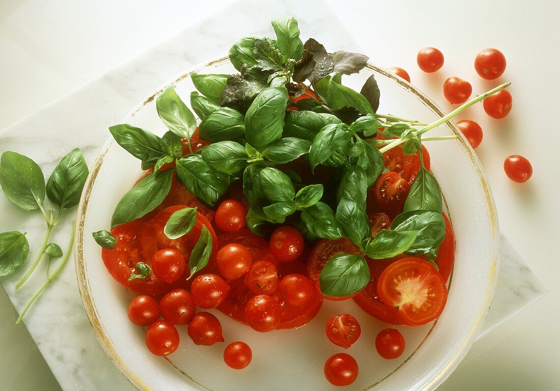 Tomaten und Kirschtomaten mit Basilikum