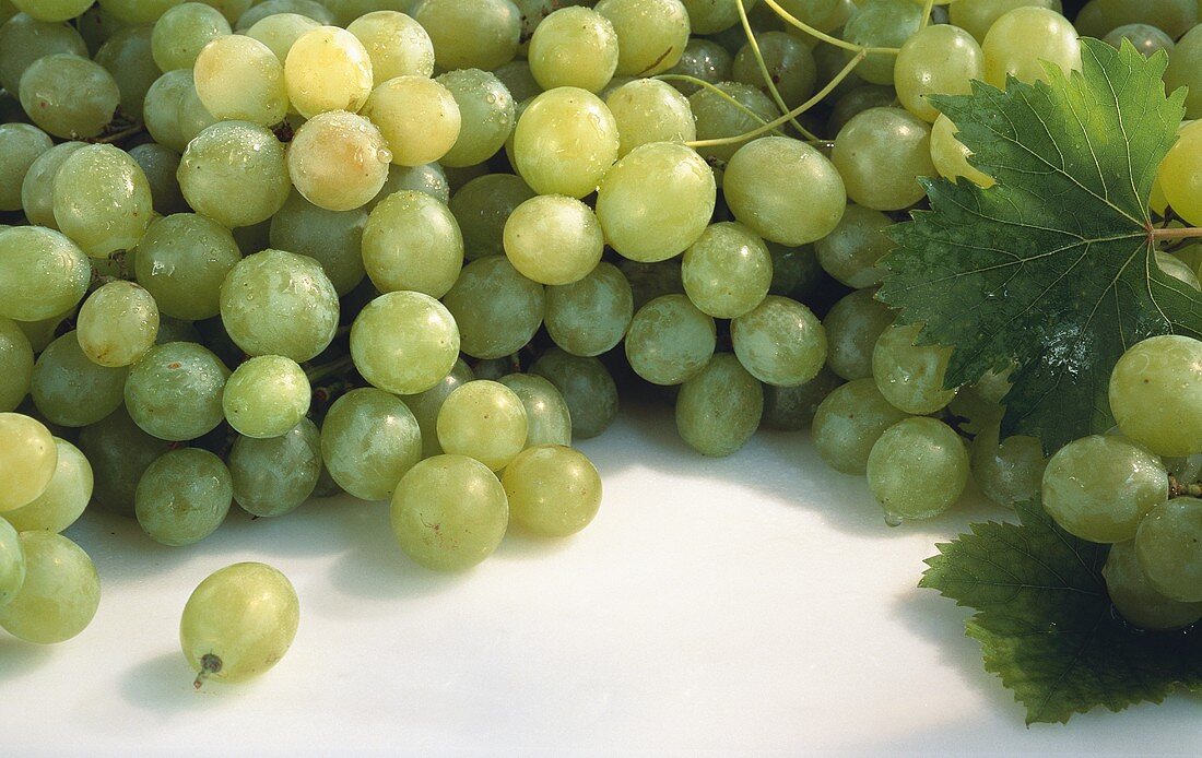 Many Fresh Green Grapes with Leaves