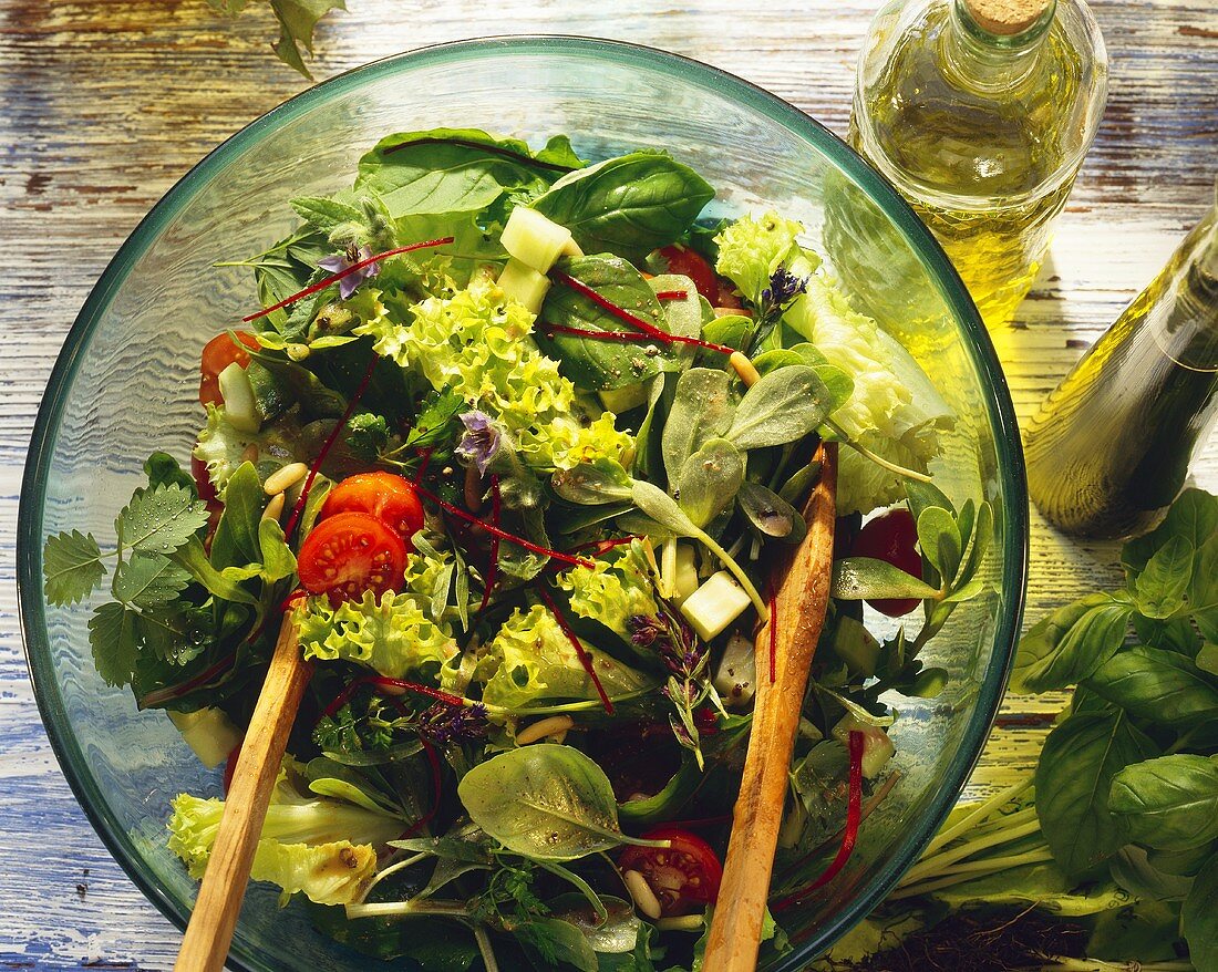 Lollo Biondo-Salat mit Kräutern