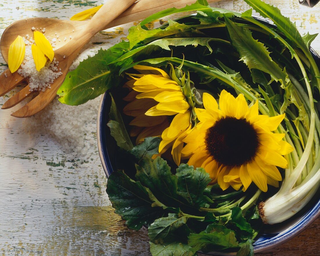 Sunflowers in a Bowl with Dandelion Greens