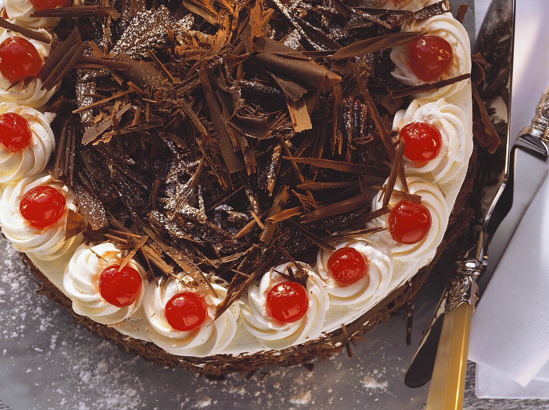 Black Forest cherry gateau