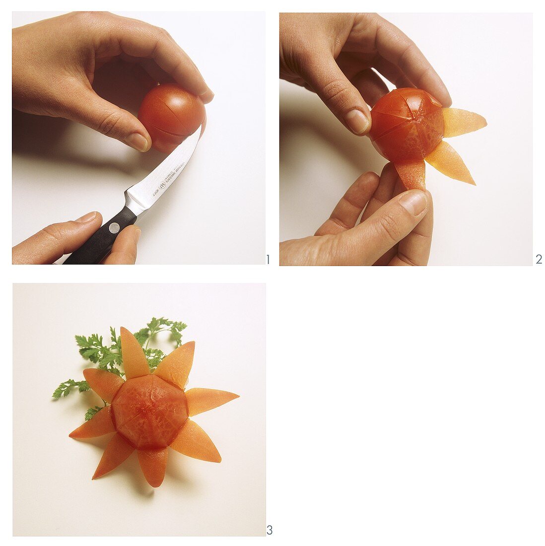 Cutting tomato flowers