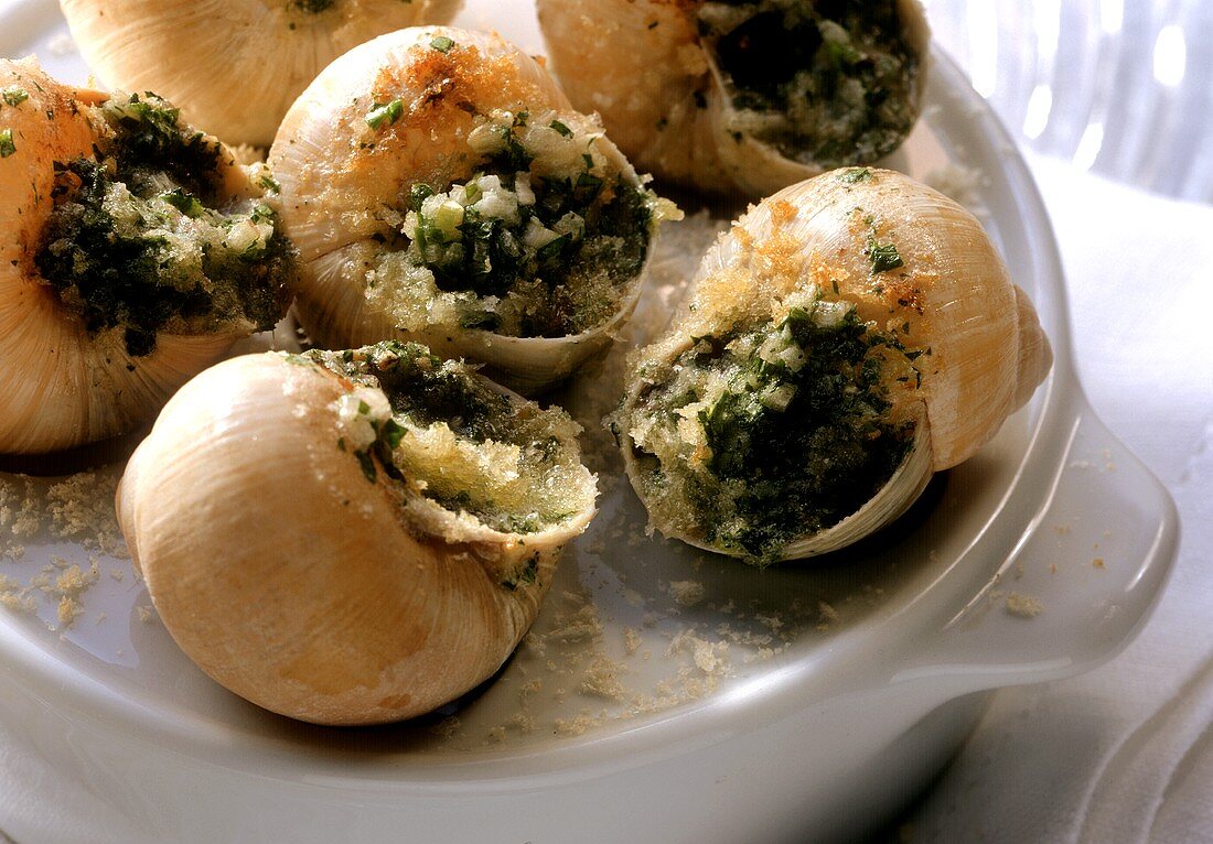 Snails au gratin