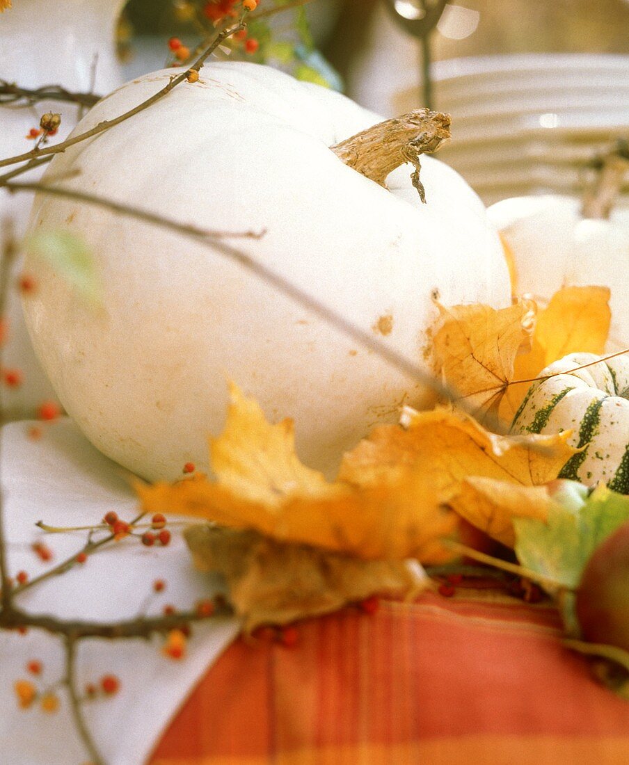 Weisser Kürbiskopf mit herbstlichen Blättern