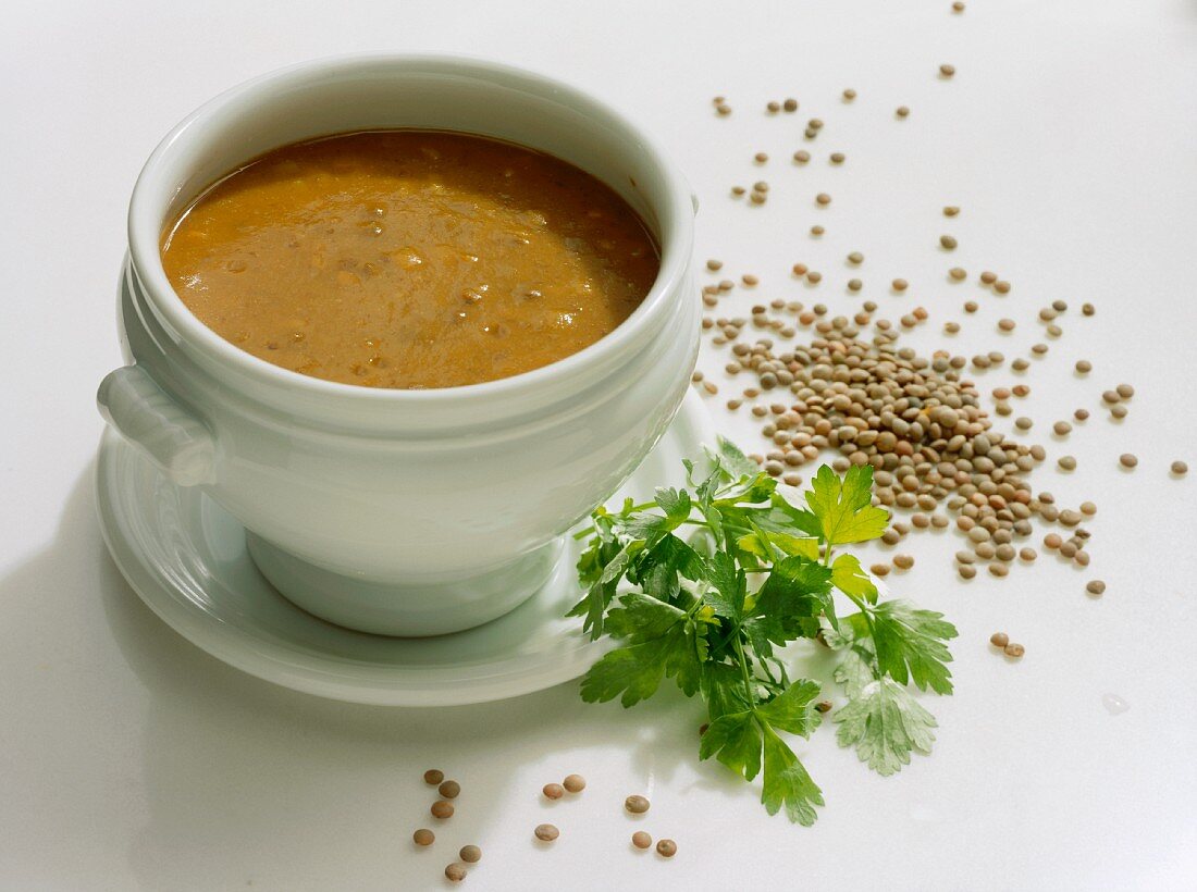 Lentil Soup