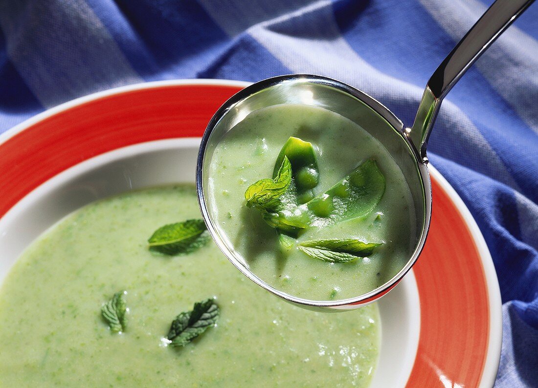 Mangetout soup with mint leaves