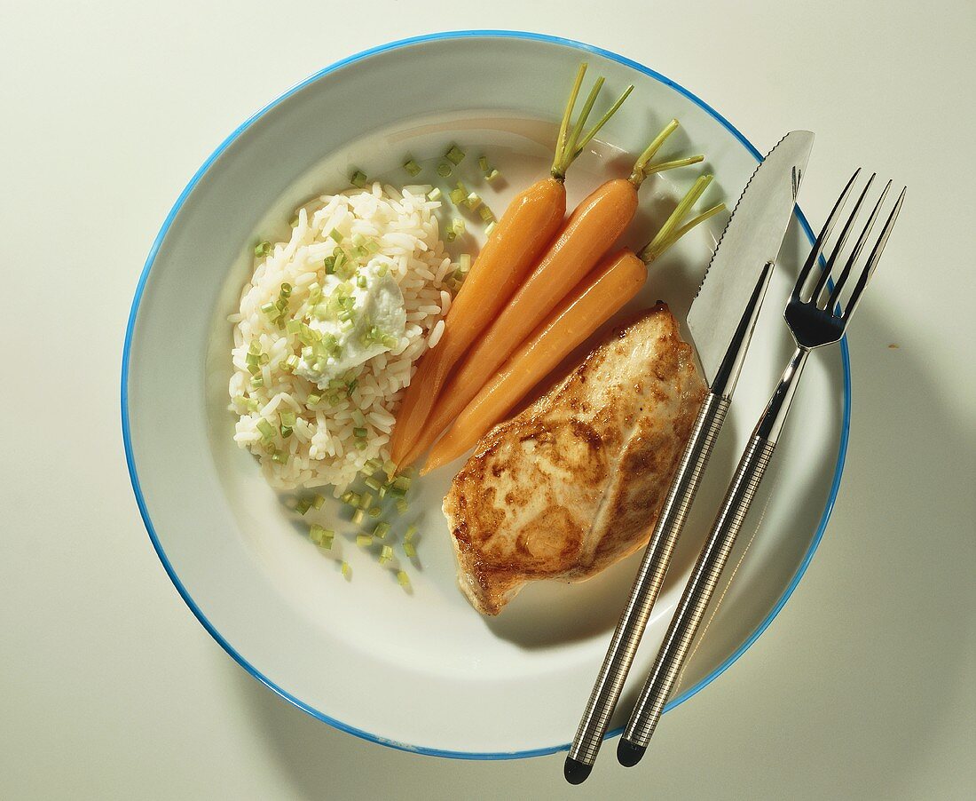 Turkey fillet with carrots, rice, sour cream & chives