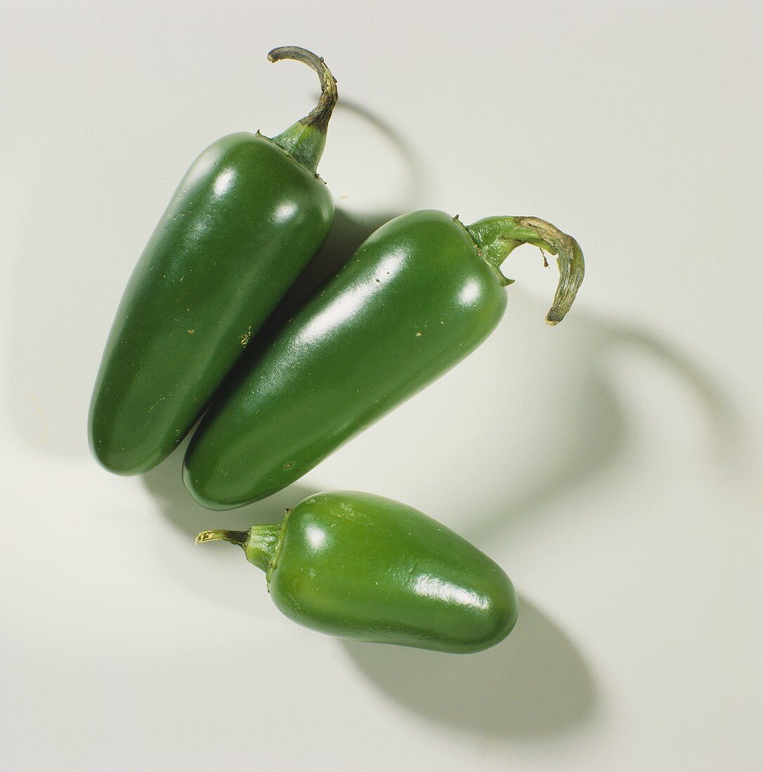 Drei dunkelgrüne Chilischoten (Jalapeno)